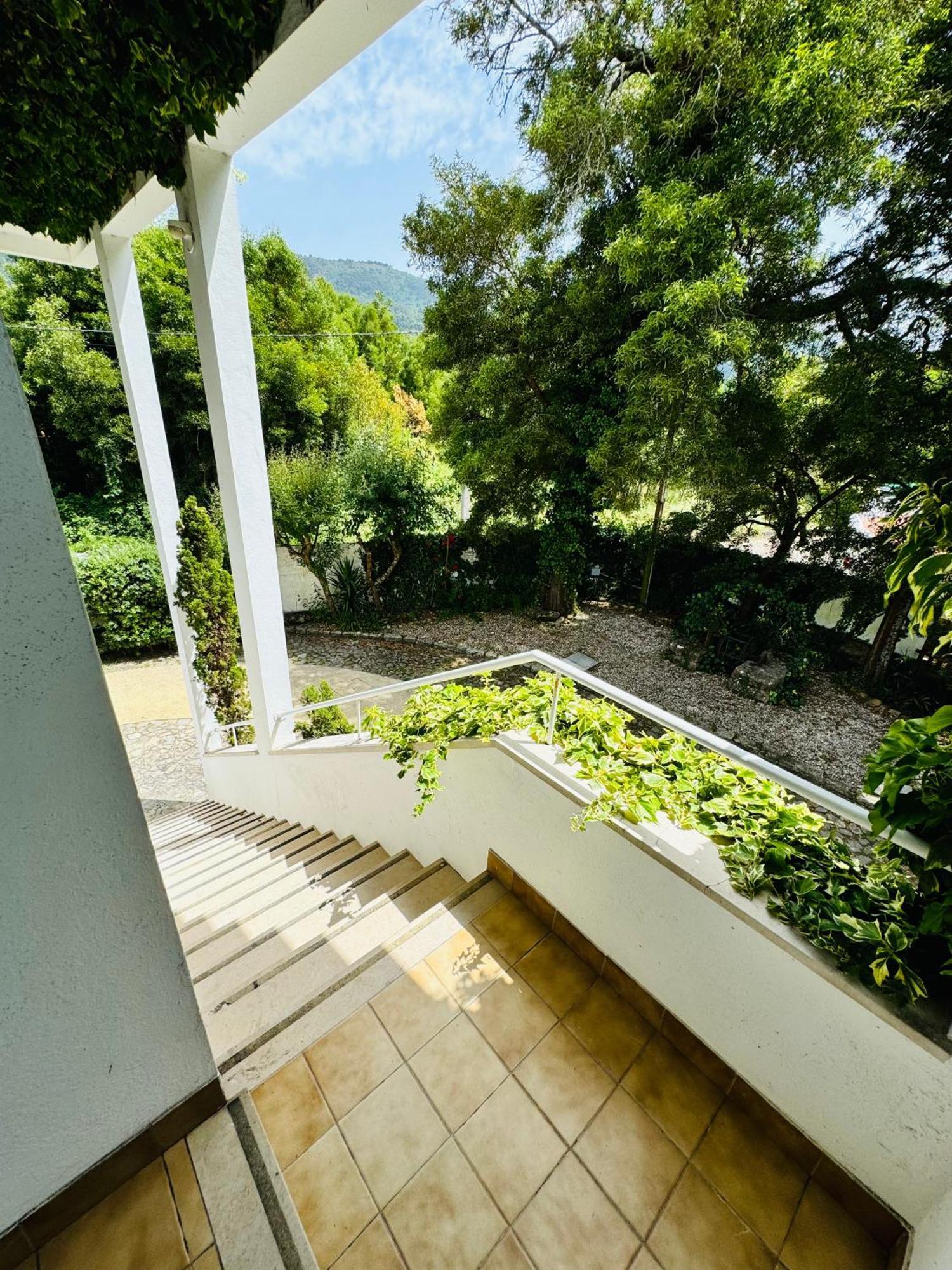 Nature & Beach Guest Rooms, Aldeamento Turistico Do Camarido Cristelo  Extérieur photo